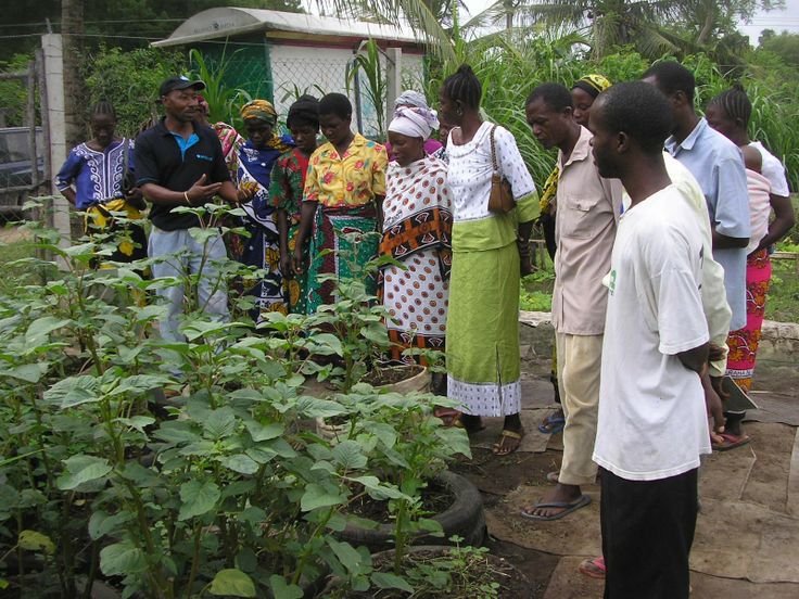 Farmer Training Session